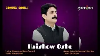 Haishow Oshe | Sabir Muhammad Shutuko | Muhammad Amin Sarhadi | New Shina Song 2026 | GB Colors