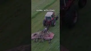 Interseeding Sorghum Sudan Grass and Boosting Pasture Performance