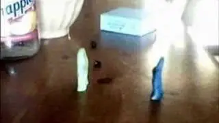 The wizard