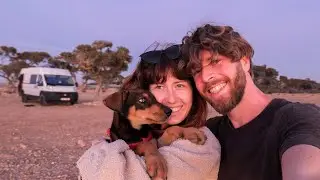 Adoptovali jsme štěně, dostali pokutu a poprali se! Vanlife Maroko