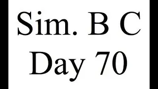 Sim. B C Day 70: Consider your Environment when Presenting