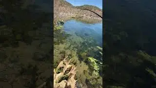 Diamond Vally Lake - Fished Me A Hungry 🌈 Trout - 4-19-25 #fishing