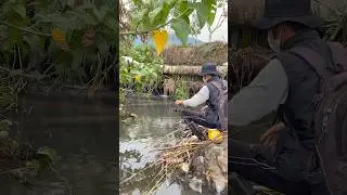 Di tantang cari spot mancing untuk ikan-ikan pelangi hias cantik🤤