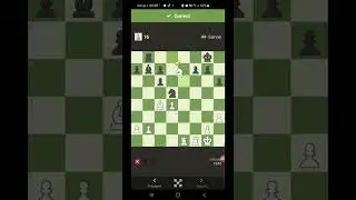 Rush Chess Puzzles EVOLUTION Chesscom