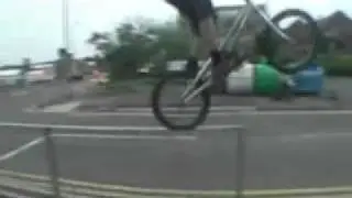 Zoo Video 28 - Craig Lee Scott