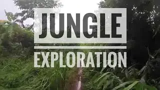 Walking through the jungle - Chi Phat, Cambodia