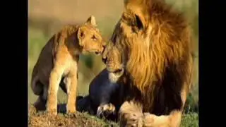 اغنية افريكانو من فيلم احمد السقا جودة عالية HD