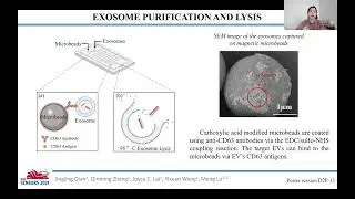 Rapid MicroRNA Detection Using Paper-Based Isothermal Amplification