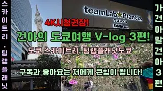 [도쿄자유여행]건아의 도쿄여행 V-log 3편!(도쿄스카이트리,팀랩플래닛도쿄)