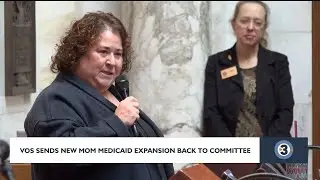 Vos sends new mom Medicaid expansion back to committee