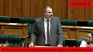 Gay NZ Labour Party MP Prattles Total Gibberish