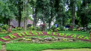 MOTHER AND SON BOND | LA MESA ECO PARK | NATURE TRIP | BUDGET FRIENDLY PASYALAN| PWEDE BATA PASYALAN