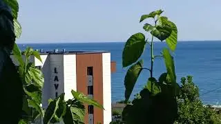 Lavicon / 3-й корпус ⭐⭐⭐