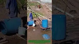 Rural Fish Stocking: Dumping Bucket of Fish Into Pond (Country Aquaculture Hack) #FarmLife #PondCare