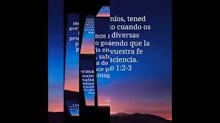 no me rendire