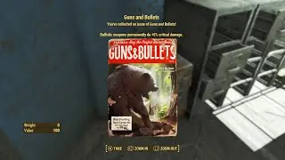 FALLOUT 4 (PS5) - MAGAZINES - Guns and Bullets: Bear Proofing Your Campsite