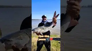que viva la pesca!