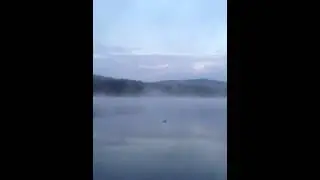 Magical Loon sighting!