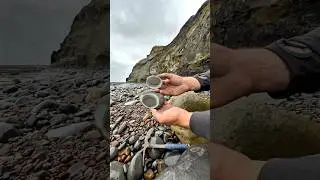 Here is a Jurassic rock that we found in a loose shale slab hunting for fossils and crystals 😍🦖⚒️