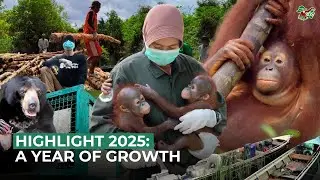HIGHLIGHT 2025: A YEAR OF GROWTH