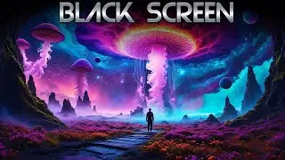 Explore Past Lives ｜ Reincarnation Sleep Music ｜ Past Life Regression Meditation Music