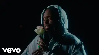 Thoé - Fiori Stanchi