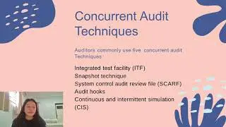 Auditing Computer-Based Information Systems