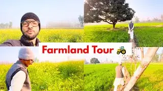 Junglee Janwaro Ka Khet Me Nuksaan 🦌😥🌾