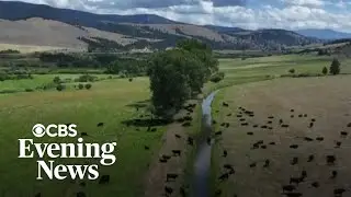 Montana ranchers challenge status quo in bid to survive