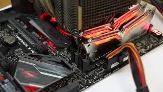 TEAM NIGHT HAWK RGB light2