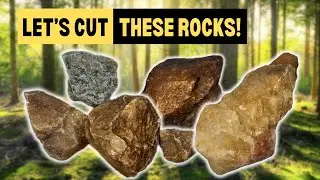 Cutting and Polishing Beautiful Bethesda, Maryland Rocks