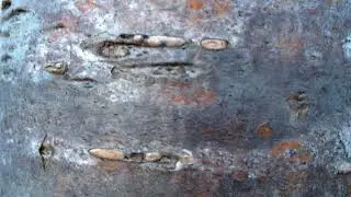 Rowan (Sorbus aucuparia) - bark close up - February 2018