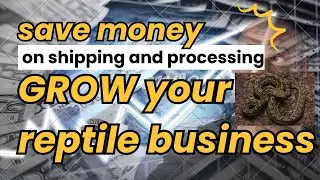 the reptile industry needs to start saving money