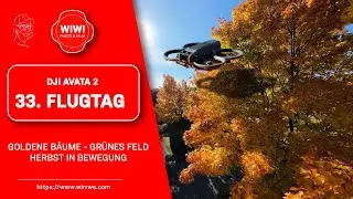 Ein Flug durch den goldenen Herbst von Ammersbek 🍁
