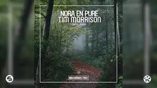 Nora En Pure feat. Tim Morrison - Come Away [Short Video Song]