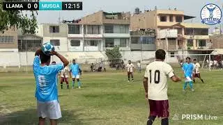 Cat. Libre: Llama 1 vs 1 Musga