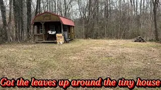 Got the yard around the tiny house looking good 