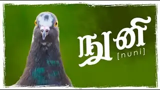 nuni | நுனி | Nano Film