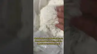 High Shear Mixer Granulator - Granules Verification