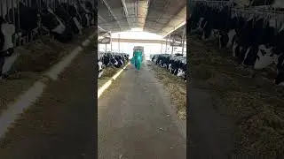 Harjeet Dairy farm #share #farming #punjabi #cow
