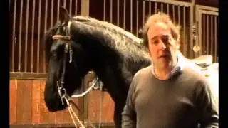 AIASE - DUKE TRA PASSO, TROTTO E I PRIMI SALTI