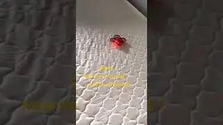 tiny flying toy #fyp #cheaptoys #ufo