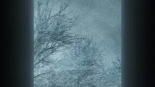 Bonfy - Past The Point