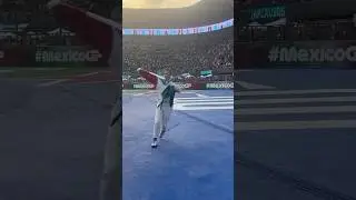 Brad Pitt wins the Mexico GP 2024 #f1 #formula1 #shorts