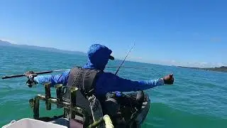 Pesca en New Zealand🇳🇿, Auckland, ōrere Point