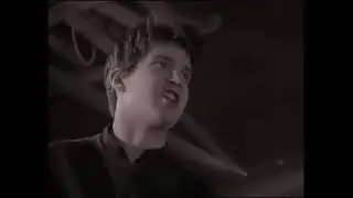Lloyd Cole and the Commotions   Rattlesnakes