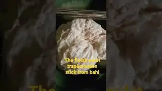 pulot trap &wooden stick from bahi