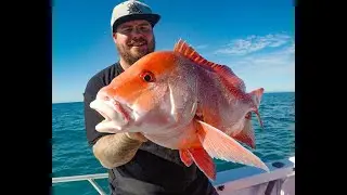 JIGGING CORAL TROUT/ RED EMPEROR AND NANNYGAI IN NORTH QUEENSLAND