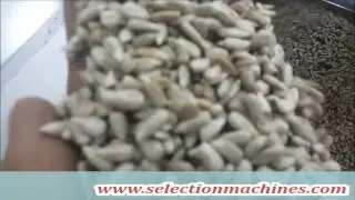 Sunflower seed hulling machine  - www.selectionmachines.com