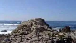 17 Mile Scenic Drive